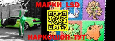 мдпв Новозыбков