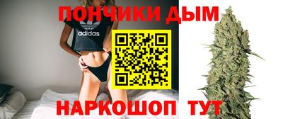 мдпв Новозыбков