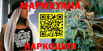 мдпв Новозыбков