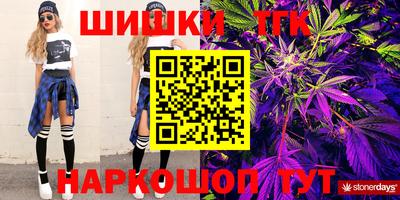 мдпв Новозыбков