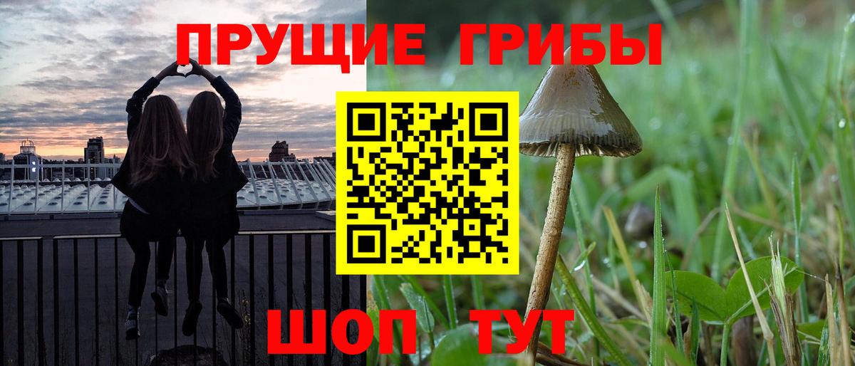 Галлюциногенные грибы мицелий  Вход с VPN  Тихорецк  Галлюциногенные грибы MAGIC MUSHROOMS 
