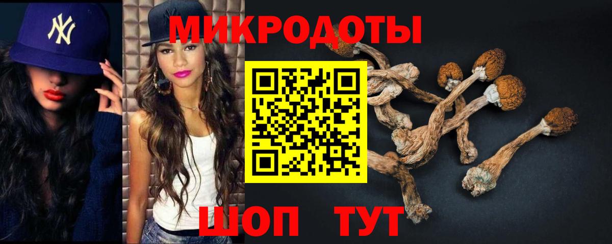 Псилоцибиновые грибы Psilocybine cubensis Тихорецк